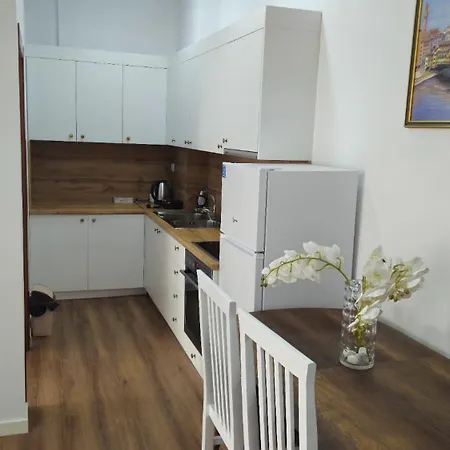 Vila 7 Apartments Tirana Extérieur photo